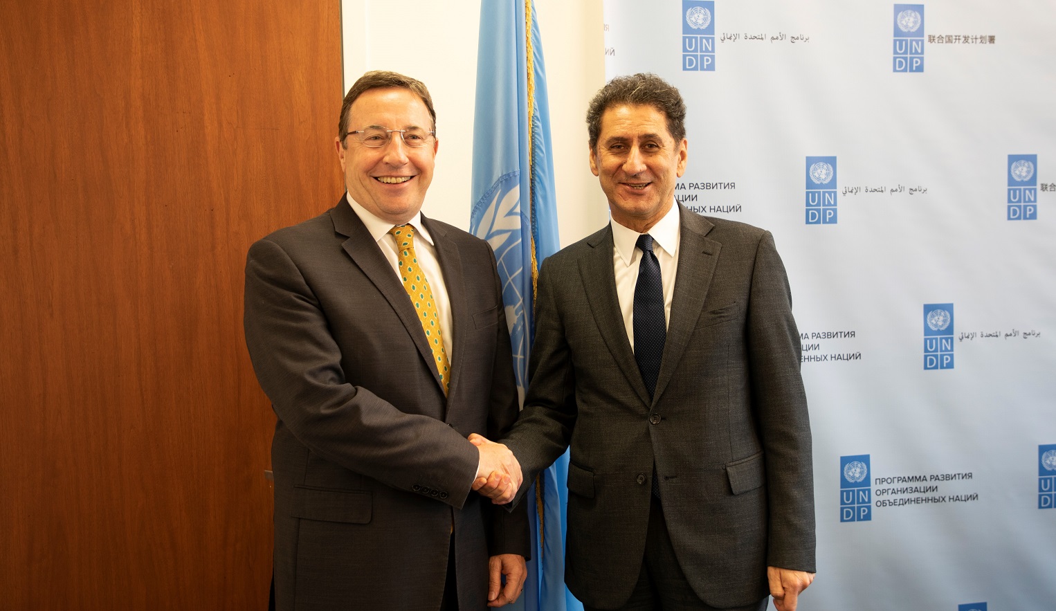 UNDP and IRENA partnership
